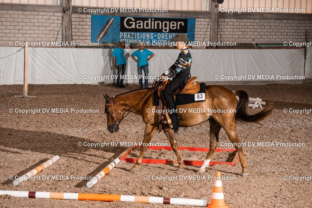 ZH200533 | dv-media-shop - Realisiert mit Pictrs.com