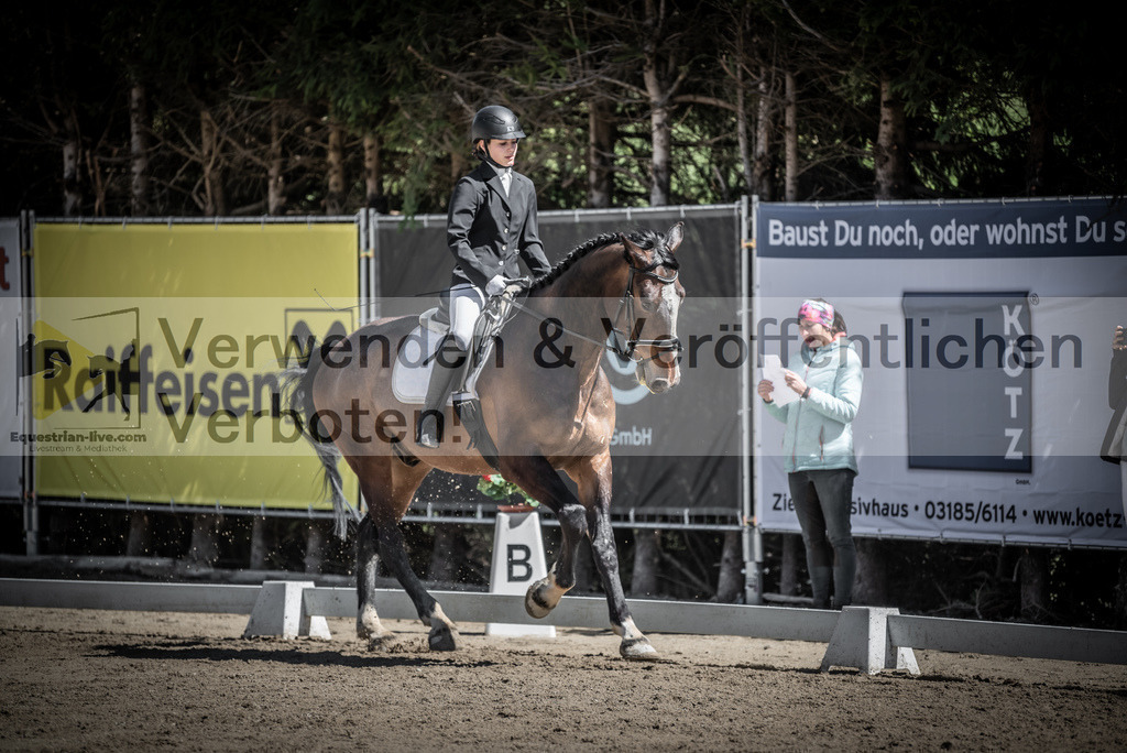 DSC_0342 | equestrian-live-com
