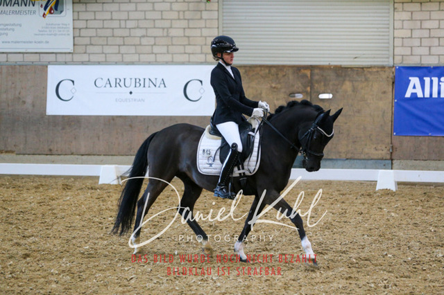 IMG_2796 | Turnierfotos kaufen im Webshop von Daniel Kuhl Photography – entdecke professionelle Reitsportfotos aus Turnieren & Events. Hochwertige Turnierbilder online bestellen & sichern. Jetzt Fotos von Reitsportturnieren kaufen!