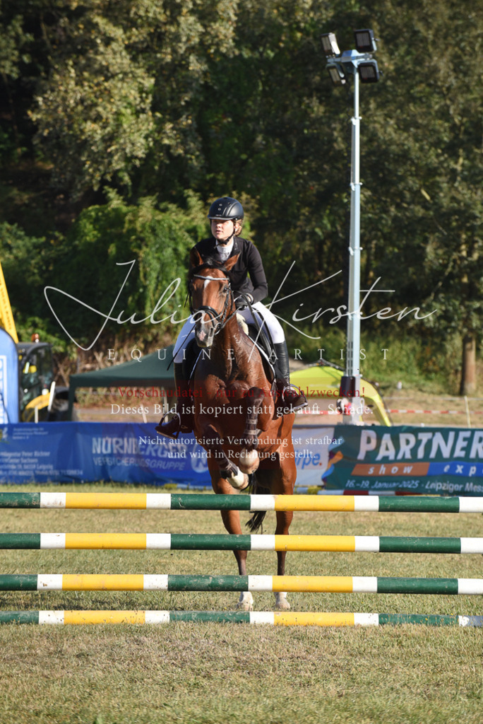 DSC_5087 | Pferde- und Turnierfotografie in Westsachsen. Pferdeportraits, Auftragszeichnungen und intuitive Kunst.