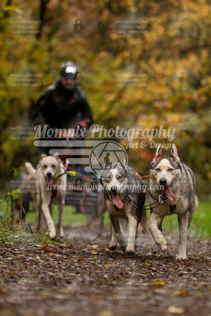 MompixPhotography_Bischwiller23_Kart-21 | PayLife