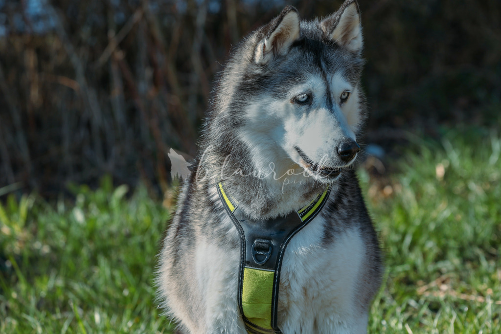  waterslide-0813 | Frühlingserwachen