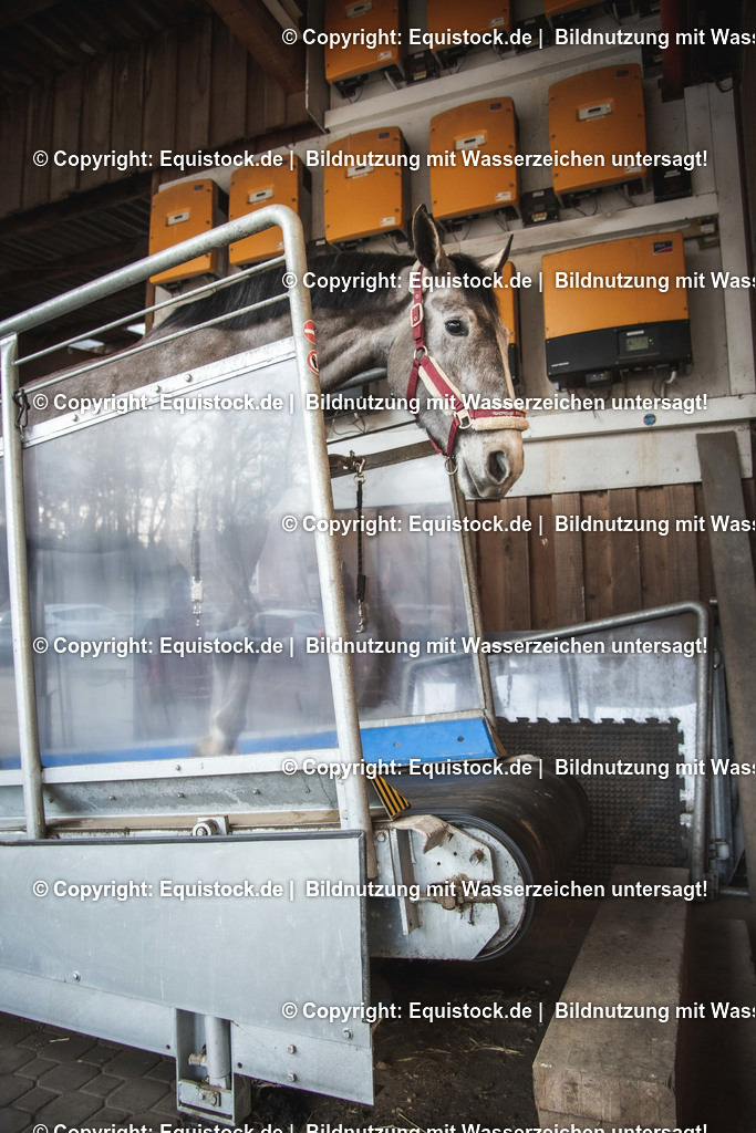 20200118_Laufband_0028 | Foto: Thomas Hartig