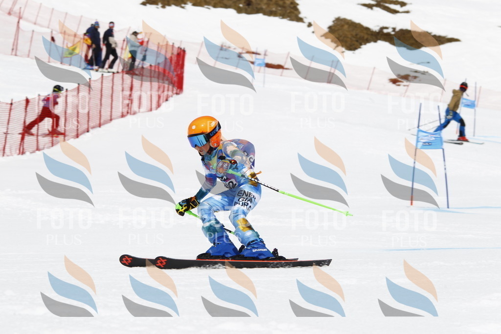 _U3G6347 | holidayphoto