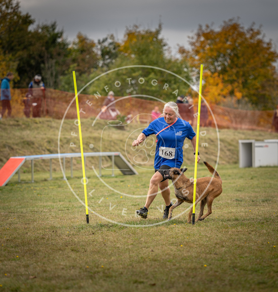 Pfotenfotografie_DV3A5941 | Hundefotografie, Tierfotograf, Pfotenfotografie, Fotoshooting Hund, Hunde Portrait, Hundesport, Hundeportraits, Heideshooting, Hunde, Sportfotograf, Hundefotograf, Turnierhundsport, THS,  - Realisiert mit Pictrs.com