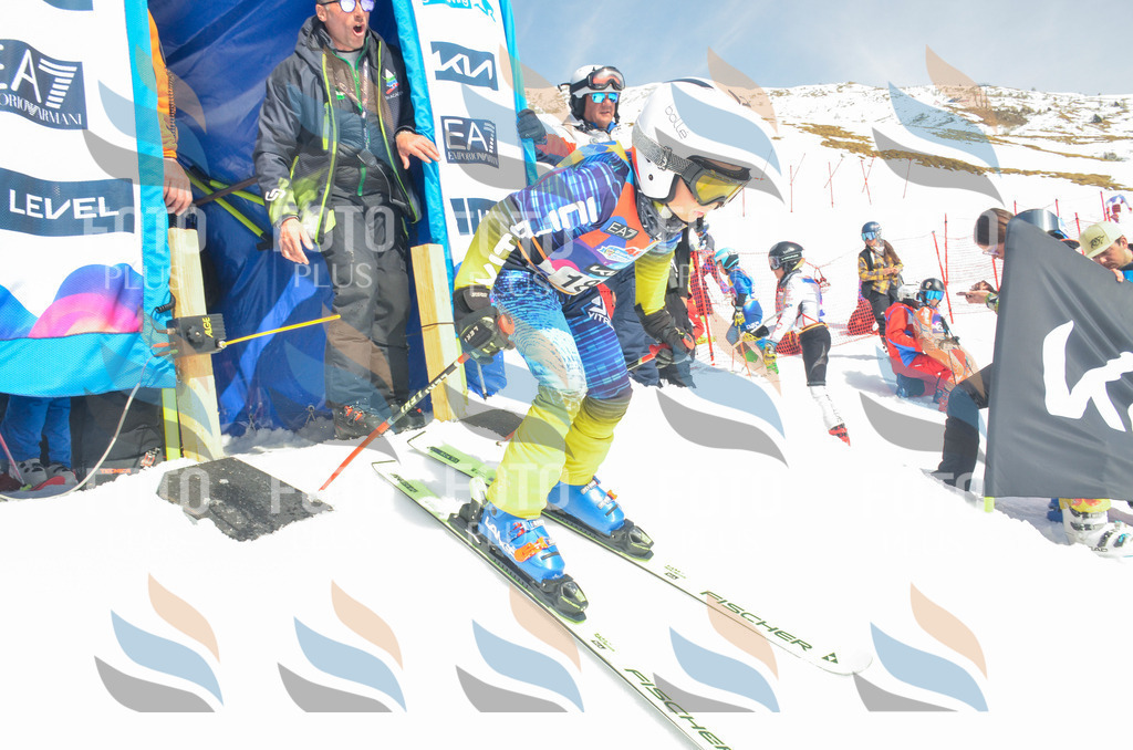 _ELE6731 | holidayphoto