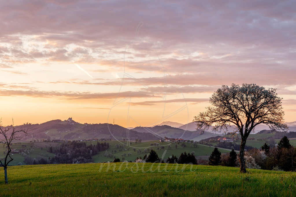 Morgenrot Mostviertel |  Bei Veröffentlichung des Bildes ist eine Namensnennung wie folgt erforderlich: Foto: Mostdirn Irmgard Wieser - Realisiert mit Pictrs.com