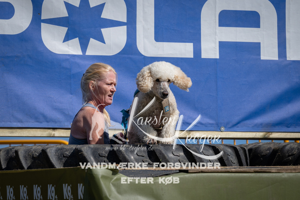 1145_ZZ92264 | kk-dogfotos