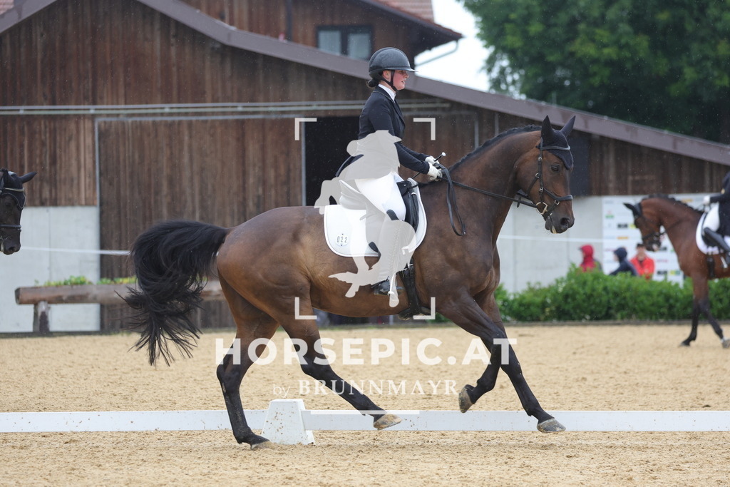 0P6A1076 | Willkommen bei Brunnmayr - Design & Fotografie – Ihrem Spezialisten für Reitturniere und Pferdeveranstaltungen in Oberösterreich, Salzburg und Bayern! Seit über 17 Jahren sind wir leidenschaftlich dabei.