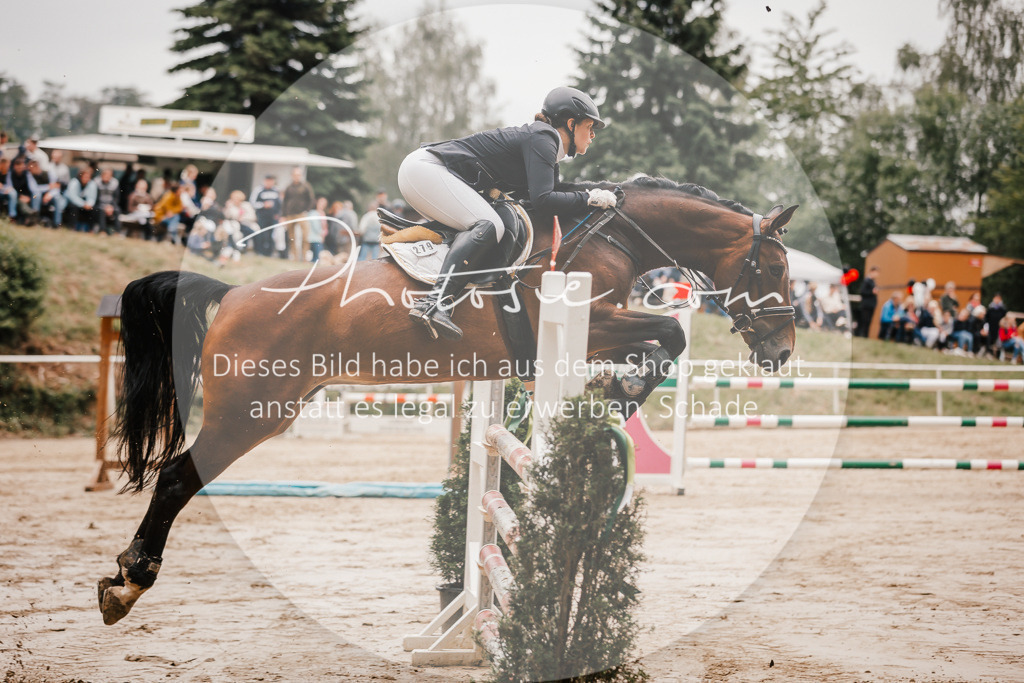 3I6A2183 | Stimmungsvolle Portraits und Reitsportfotografie im Ruhrgebiet und im Münsterland.

Pferdefotografie, Hundefotografie, Tierfotografie, Reportagen, Portraits von Tier und Mensch, Turnierfotografie in Bochum, Recklinghausen, Marl, Haltern am See, Dülmen.. - Realisiert mit Pictrs.com