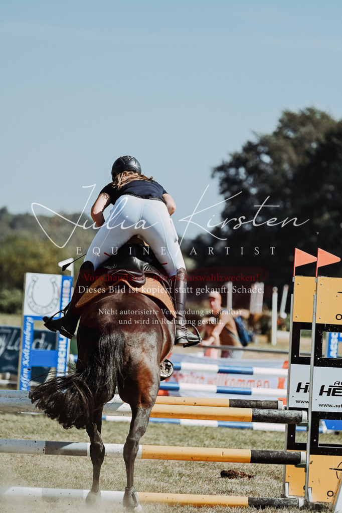 DSC_9652 | Pferde- und Turnierfotografie in Westsachsen. Pferdeportraits, Auftragszeichnungen und intuitive Kunst.