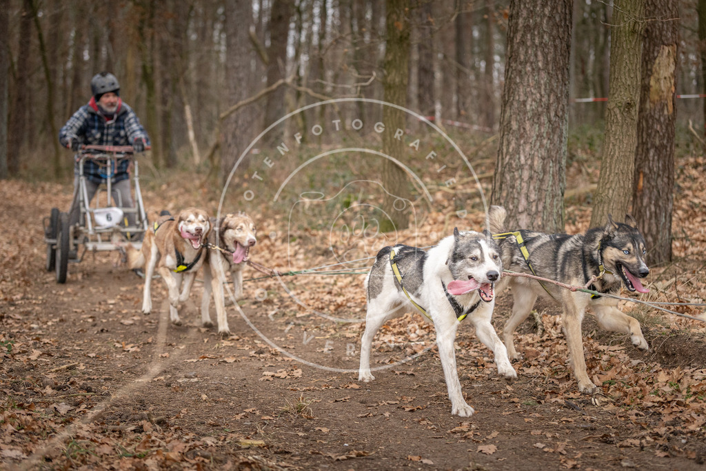 Pfotenfotografie_DV3A6520 | Hundefotografie, Tierfotograf, Pfotenfotografie, Fotoshooting Hund, Hunde Portrait, Hundesport, Hundeportraits, Heideshooting, Hunde, Sportfotograf, Hundefotograf, Turnierhundsport, THS,  - Realisiert mit Pictrs.com