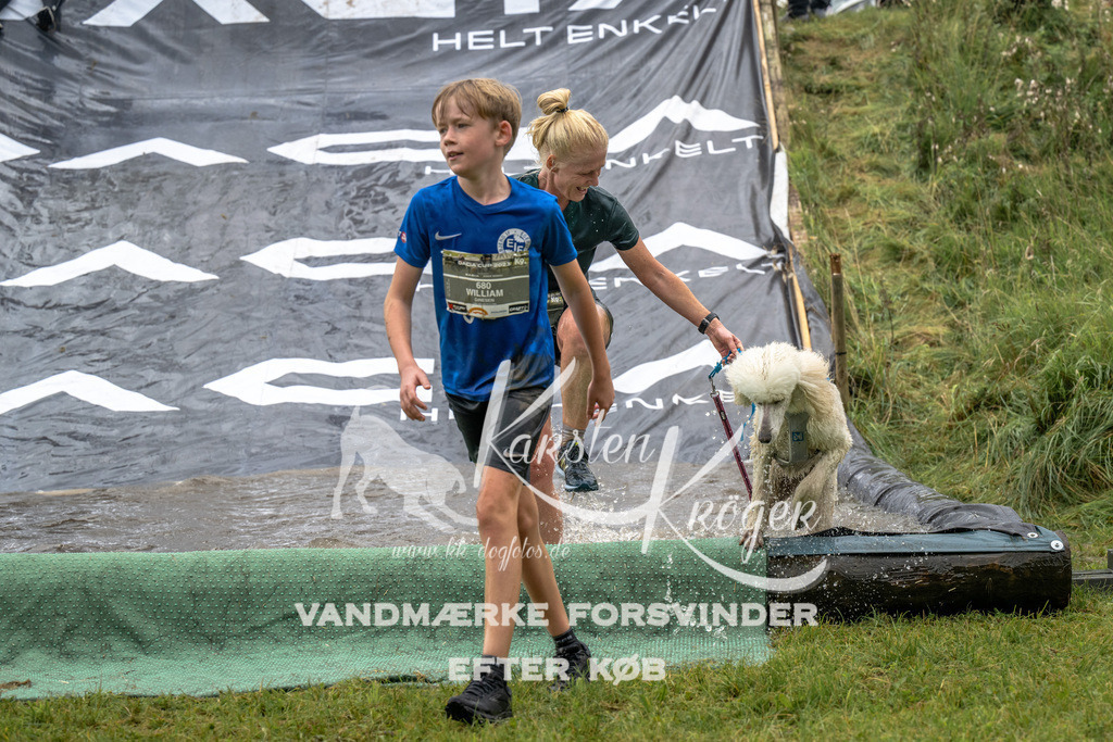 1339_ZZ92807 | kk-dogfotos