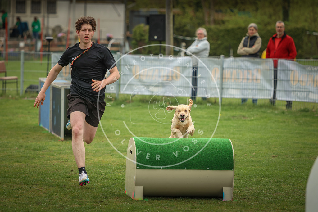 Pfotenfotografie_0L8A1402 | Hundefotografie, Tierfotograf, Pfotenfotografie, Fotoshooting Hund, Hunde Portrait, Hundesport, Hundeportraits, Heideshooting, Hunde, Sportfotograf, Hundefotograf, Turnierhundsport, THS,  - Realisiert mit Pictrs.com