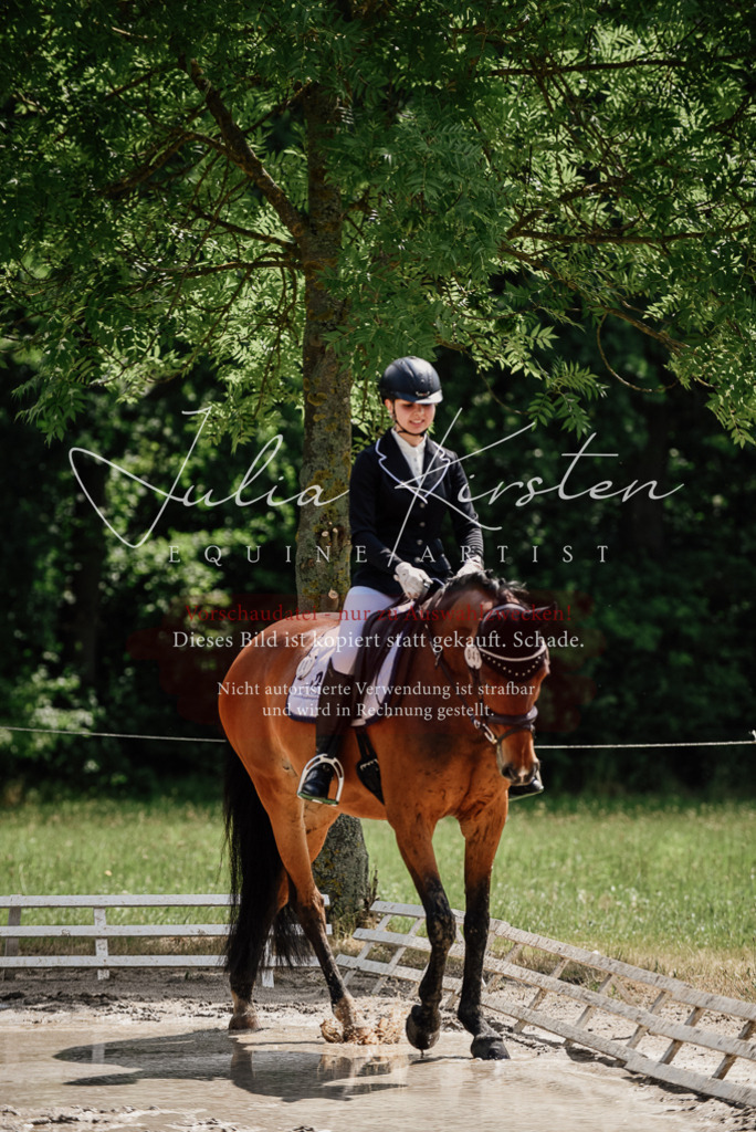 DSC_0886 | Pferde- und Turnierfotografie in Westsachsen. Pferdeportraits, Auftragszeichnungen und intuitive Kunst.