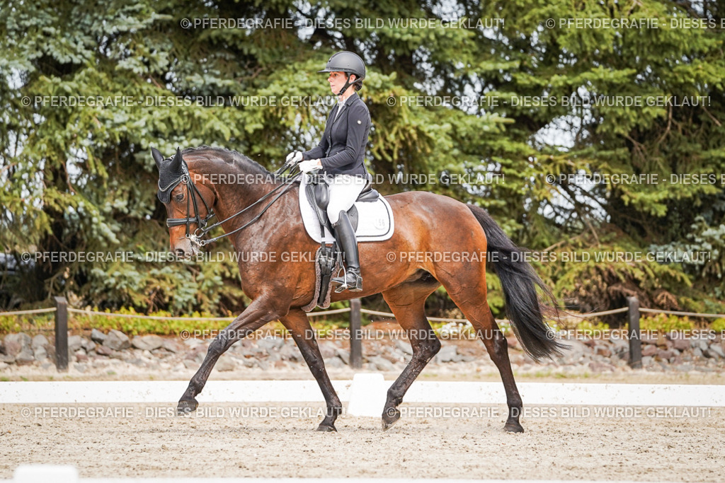 DSC05864 | Pferdegrafie