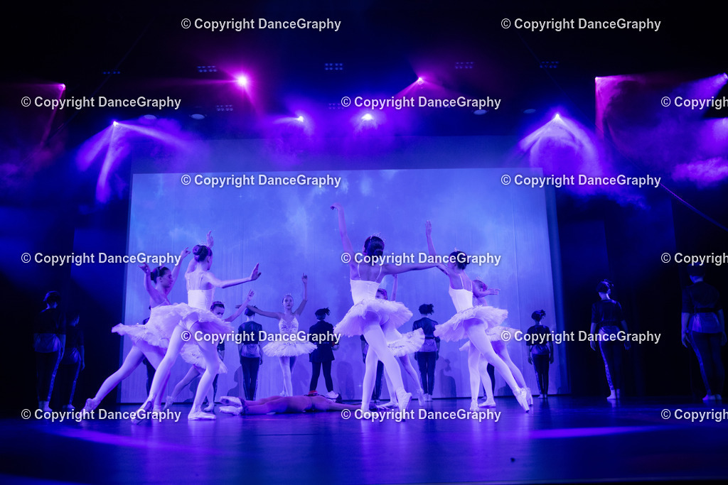 GPHY2800 | DanceGraphy - Realisiert mit Pictrs.com