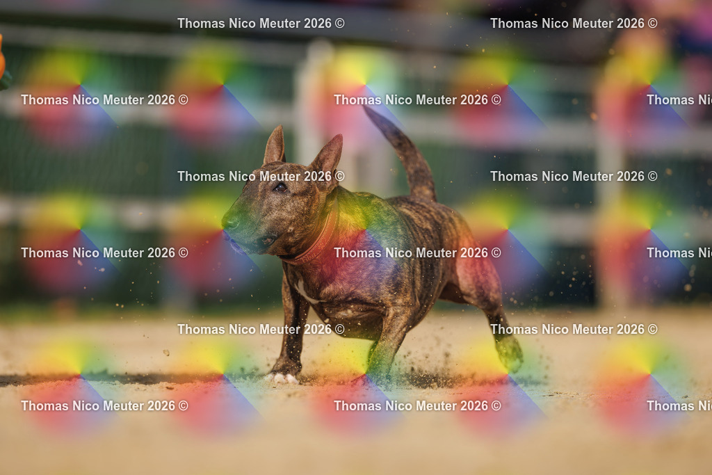 Thomas_Nico_Meuter(C)_03. Oktober 2026_223A2527 | Bild von Thomas Nico Meuter - Realisiert mit Pictrs.com