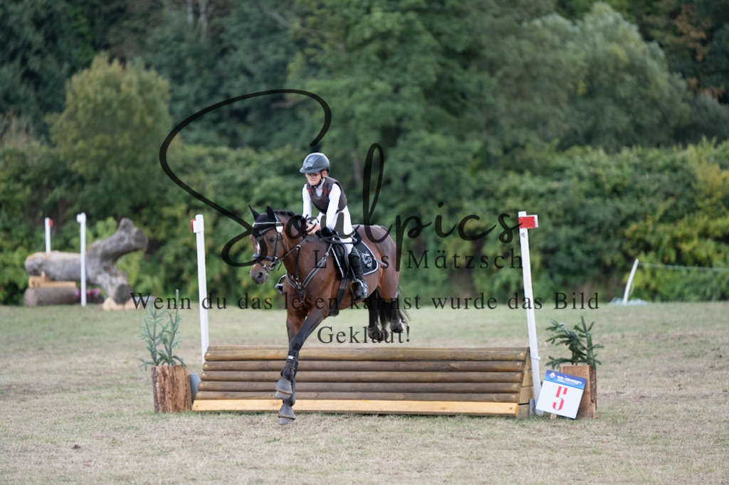 A7V01441 | Pferdefotograf