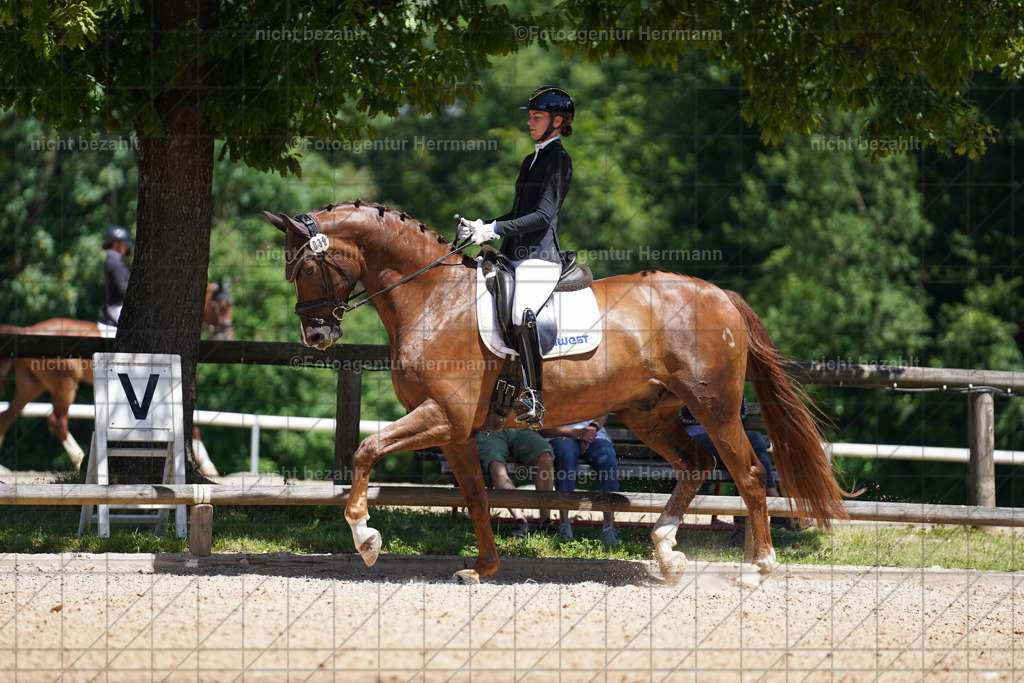 20240705-FAH03520 | Turnierbilder von Grafing, Reitsportbilder, Turnierfotos, Turnierfotografen Bayern, Pferdefotograf, Fotoagentur Herrmann
