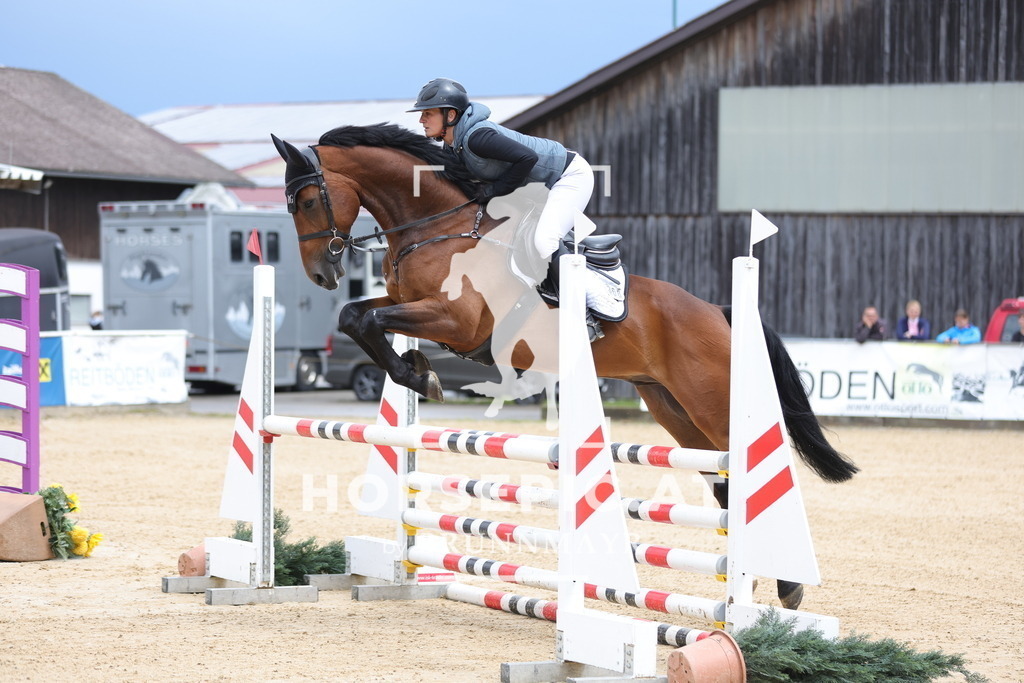 0P6A4273 | Willkommen bei Brunnmayr - Design & Fotografie – Ihrem Spezialisten für Reitturniere und Pferdeveranstaltungen in Oberösterreich, Salzburg und Bayern! Seit über 17 Jahren sind wir leidenschaftlich dabei.