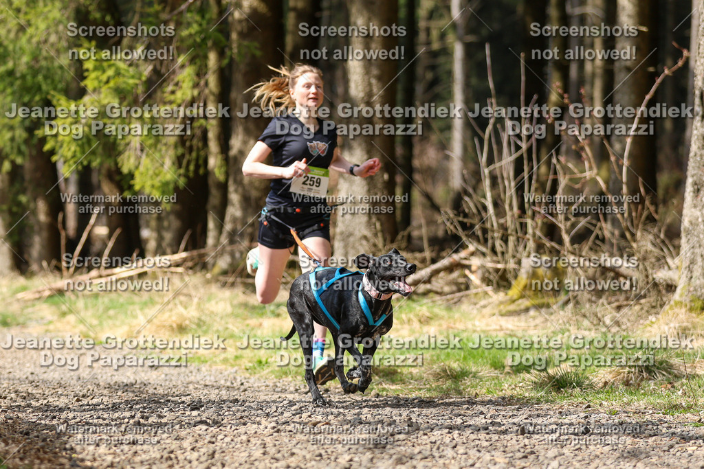 Dog Paparazzi - VCC26-358 | Dog Paparazzi Jeanette Grottendiek Fotografie & Videografie - Realisiert mit Pictrs.com
