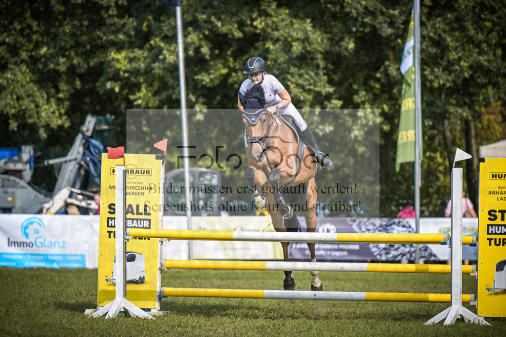 DOS_0888 | Entdecke hochwertige Reitturnierfotos von Foto Oger. Professionell, emotional und authentisch – jetzt Lieblingsmomente im Shop bestellen. - Realisiert mit Pictrs.com