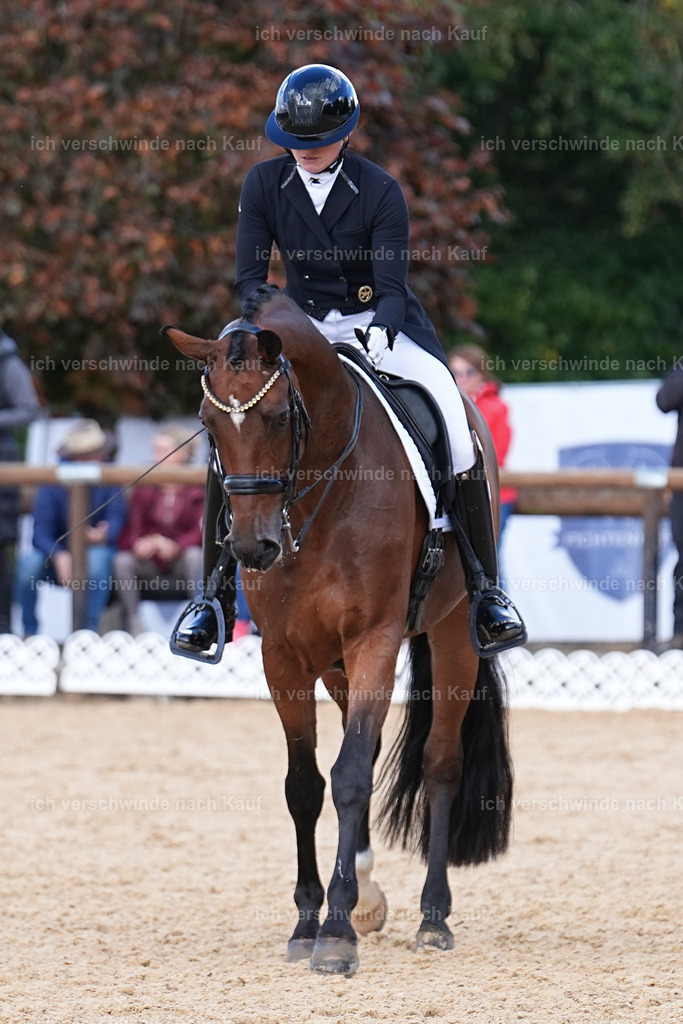 09_2-100-DRESSUR  S_  -Marixx-5983 | working equitationturnier fotograf videograf stoibphotography marixx film working equitation deutschland reitsport turnierfotografie eventfotografie equestrian events