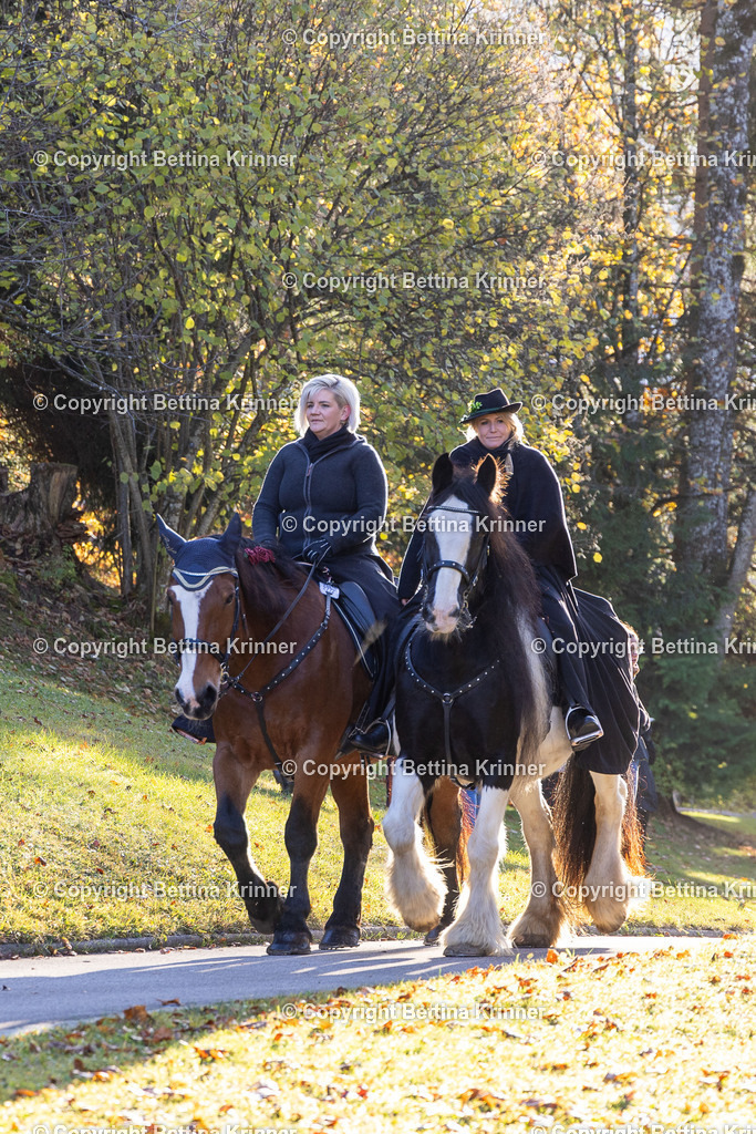 LL24-146 | foto-bettina-krinner - Realisiert mit Pictrs.com