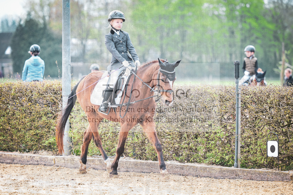 DOS_5882 | Entdecke hochwertige Reitturnierfotos von Foto Oger. Professionell, emotional und authentisch – jetzt Lieblingsmomente im Shop bestellen.Deutschlandweite Turnierfotografie. - Realisiert mit Pictrs.com
