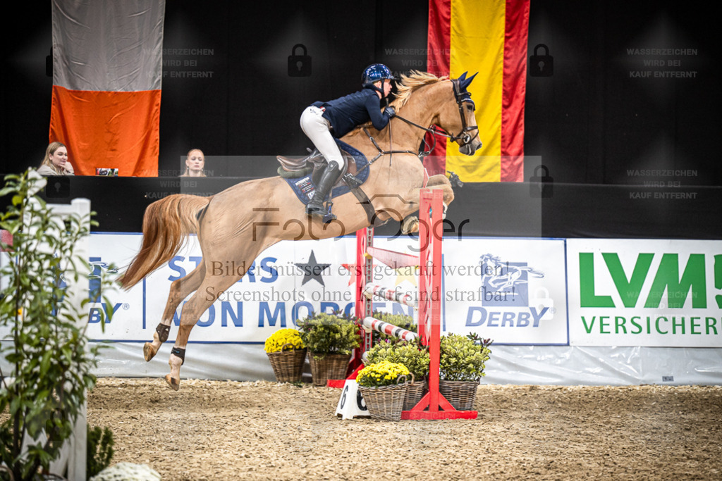 DOS_1708 | Entdecke hochwertige Reitturnierfotos von Foto Oger. Professionell, emotional und authentisch – jetzt Lieblingsmomente im Shop bestellen. - Realisiert mit Pictrs.com