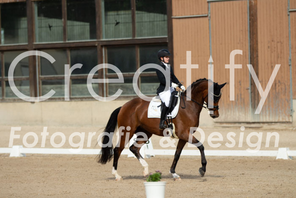 IMG_0903 | Creatify Fotografie