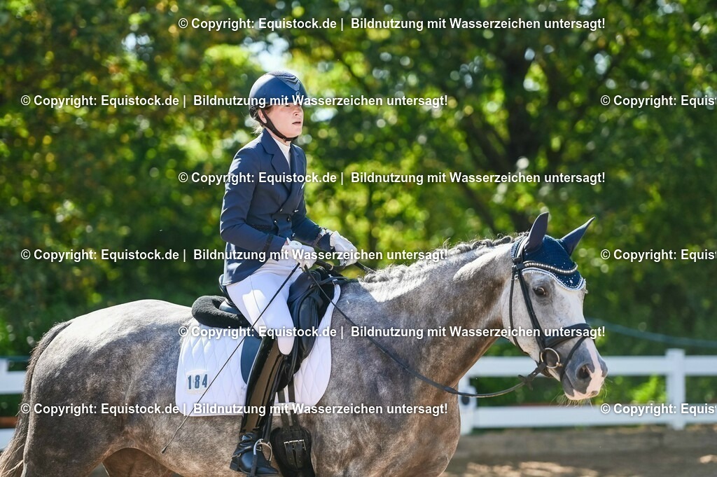 20230715_06_Dressurpferdeprfg. Kl.A_0325 | equistock