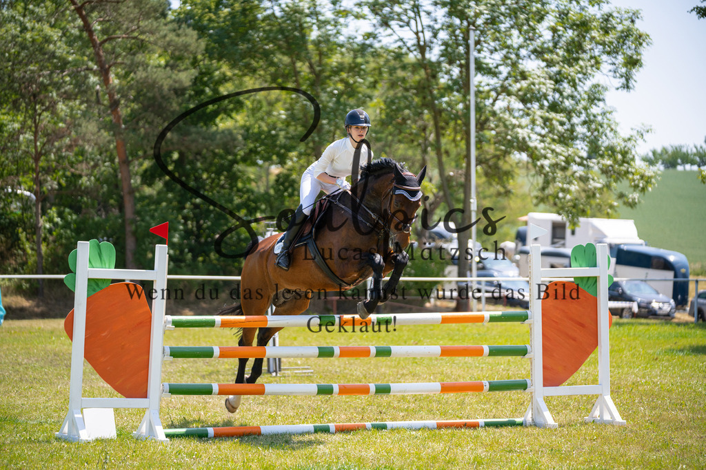 A7V06226 | Pferdefotograf