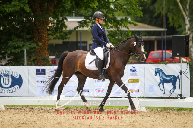 DKP42320 | Turniersportfotografie; Pferdefotografie; Dressurfotografie