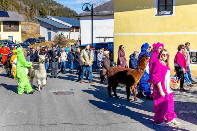 Bärentreiben in Steuerberg | Bildershop von pixelworld.at - Realisiert mit Pictrs.com