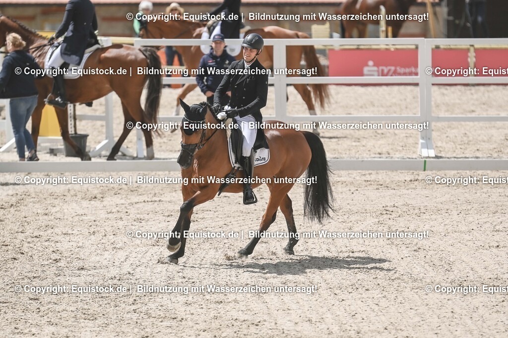 20250516_CCI2_Dressur_0338 | Foto: Thomas Hartig