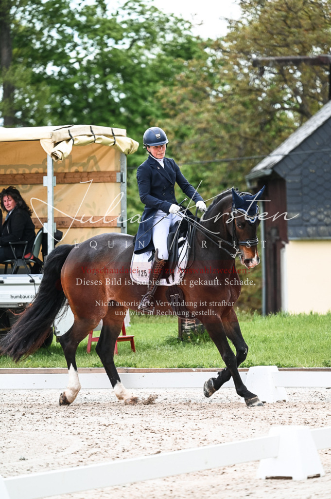 20230514_JK-Röhrsdorf-20-003 | Pferde- und Turnierfotografie in Westsachsen. Pferdeportraits, Auftragszeichnungen und intuitive Kunst.
