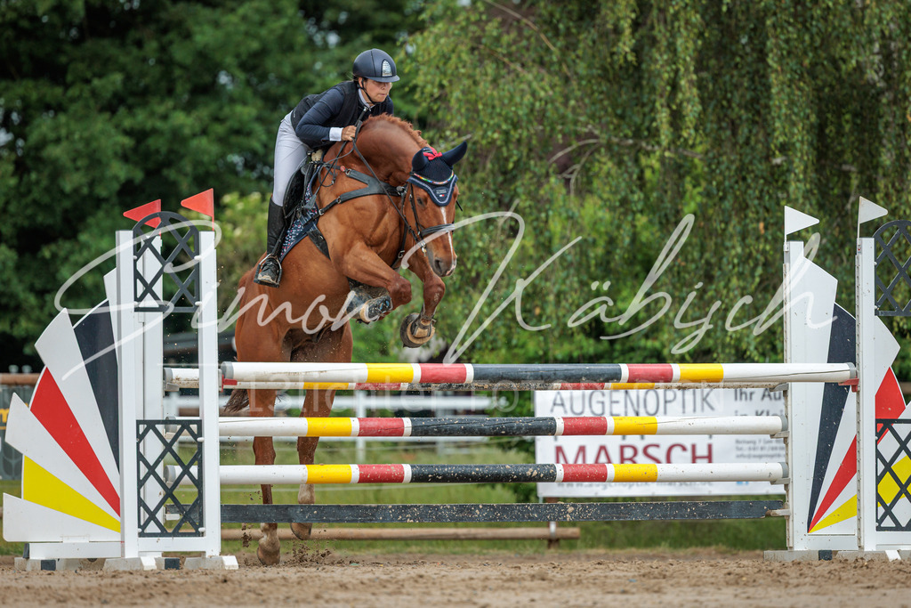 20260530-_3LI2538 | Tierfotografie Pferde, Hunde, Katzen, Haustiere.
Turnierfotografie Reitturniere, Reiten, Springreiten, Dressur in Hanau, dem Main-Kinzig-Kreis und dem Rhein-Main- Gebiet um Frankfurt