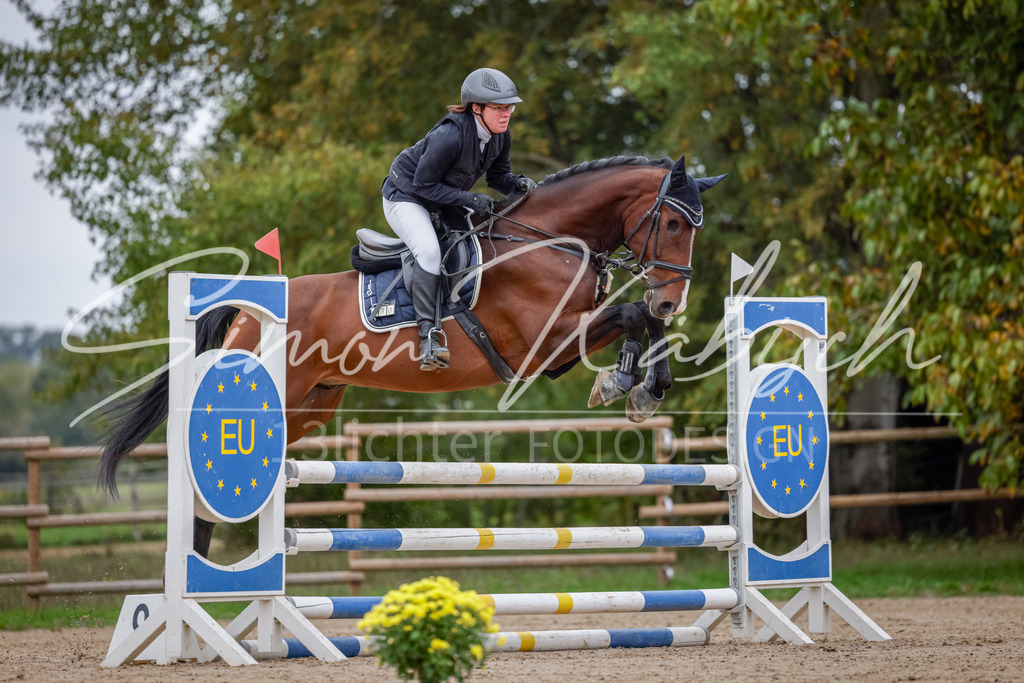20251012-_3LI4325 | Tierfotografie Pferde, Hunde, Katzen, Haustiere.
Turnierfotografie Reitturniere, Reiten, Springreiten, Dressur in Hanau, dem Main-Kinzig-Kreis und dem Rhein-Main- Gebiet um Frankfurt