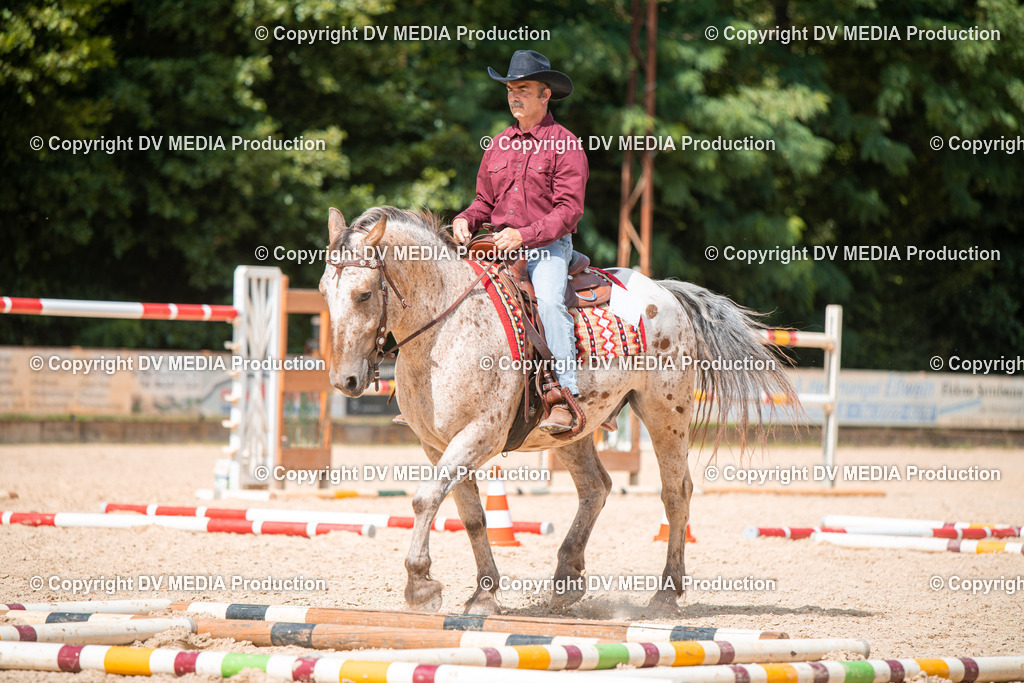 EWP_6777 | dv-media-shop - Realisiert mit Pictrs.com