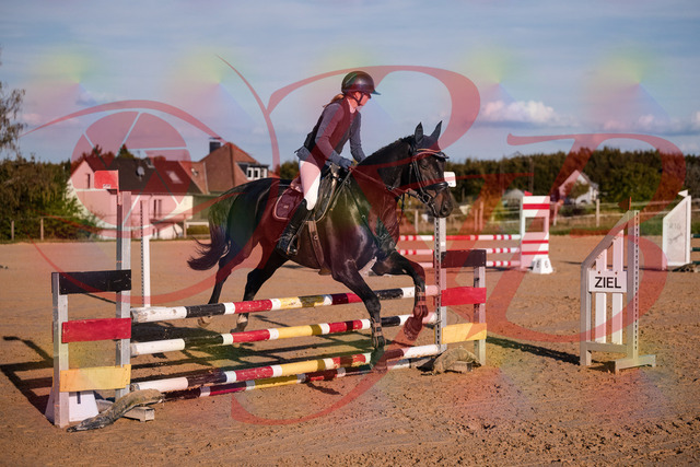 2026_10_03_Siefer-Hof_171517_Z81_12358374 | Professionelle Reitsport-, Turnier- und Eventfotografie von Robert Broda. Galerien mit ausgewählten und bearbeiteten Bildern direkt online ansehen und bestellen.