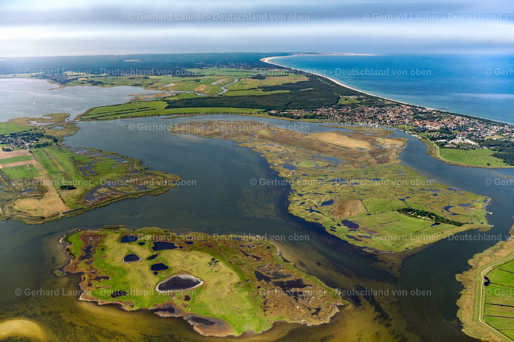 4061766 | Oie, Große Kirr, Nationalpark Vorpommersche Boddenlandschaft, ZINGST 08.09.2021 Salzgrasland- Inseln und Vogelschutz- Gebiet in Zingst an der Ostseeküste im Bundesland Mecklenburg-Vorpommern, Deutschland.