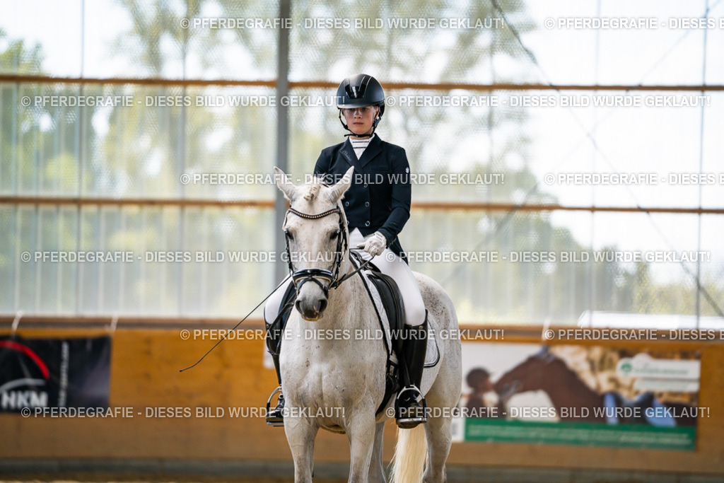 DSC05484 | Pferdegrafie