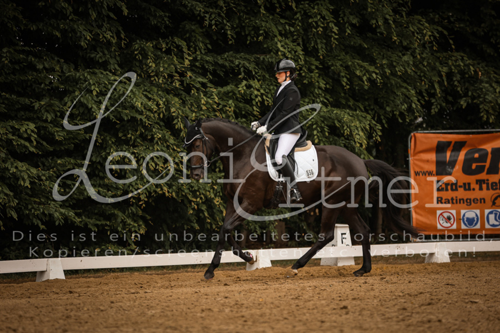 DoDrA00264 | Leoni Ertmer Photography - Realisiert mit Pictrs.com