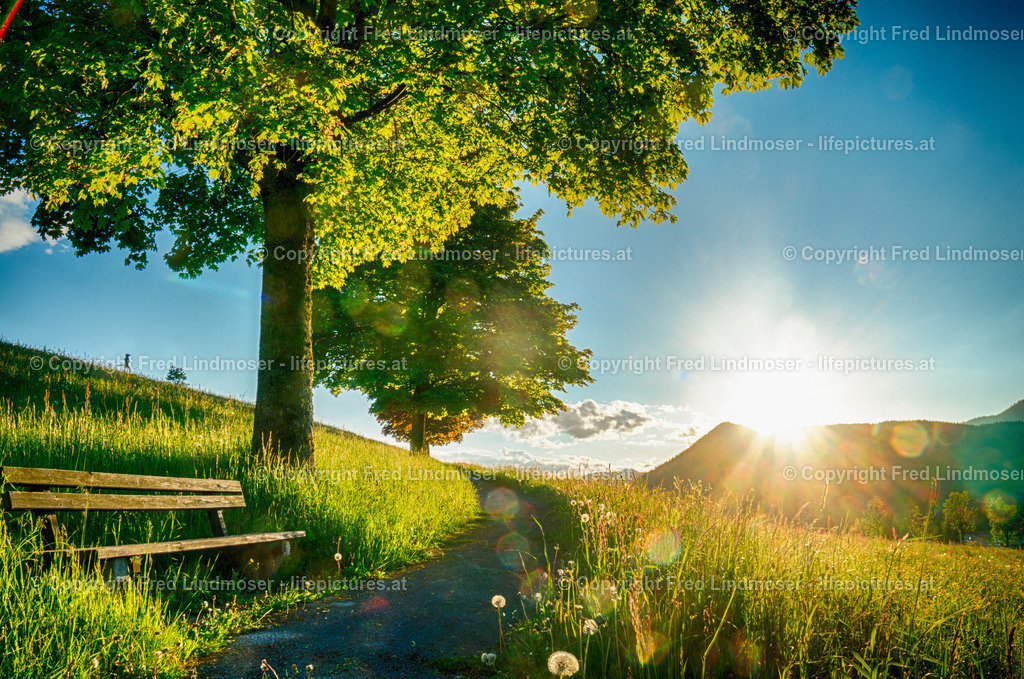 DSC00721_HDR | Fotos und Fotoprodukte - Realisiert mit Pictrs.com