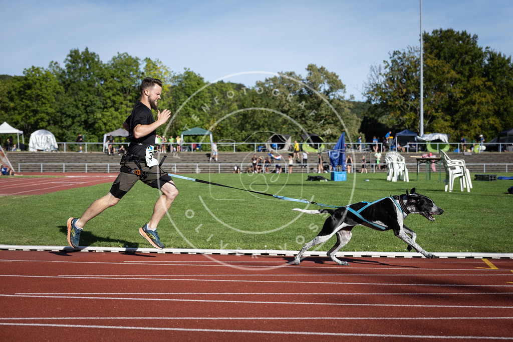 Pfotenfotografie_DV3A0081 | Hundefotografie, Tierfotograf, Pfotenfotografie, Fotoshooting Hund, Hunde Portrait, Hundesport, Hundeportraits, Heideshooting, Hunde, Sportfotograf, Hundefotograf, Turnierhundsport, THS,  - Realisiert mit Pictrs.com