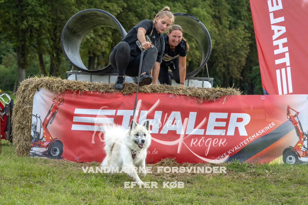 1046_ZZ93146 | kk-dogfotos