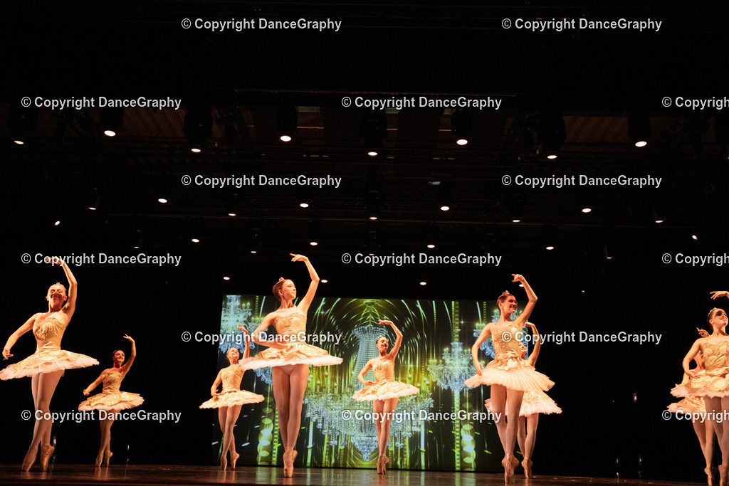 GPHY6532 | DanceGraphy - Realisiert mit Pictrs.com