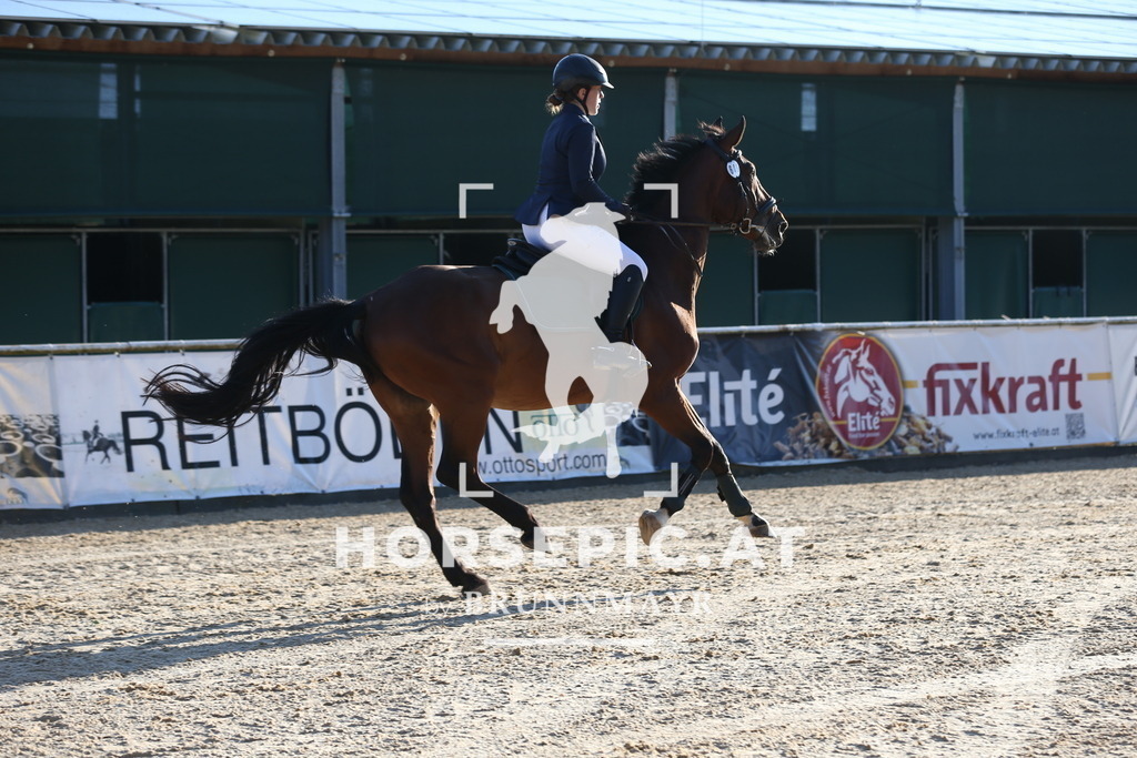 DL2Q7275 | Willkommen bei Brunnmayr - Design & Fotografie – Ihrem Spezialisten für Reitturniere und Pferdeveranstaltungen in Oberösterreich, Salzburg und Bayern! Seit über 17 Jahren sind wir leidenschaftlich dabei.